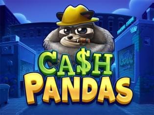 Cash Pandas screenshot